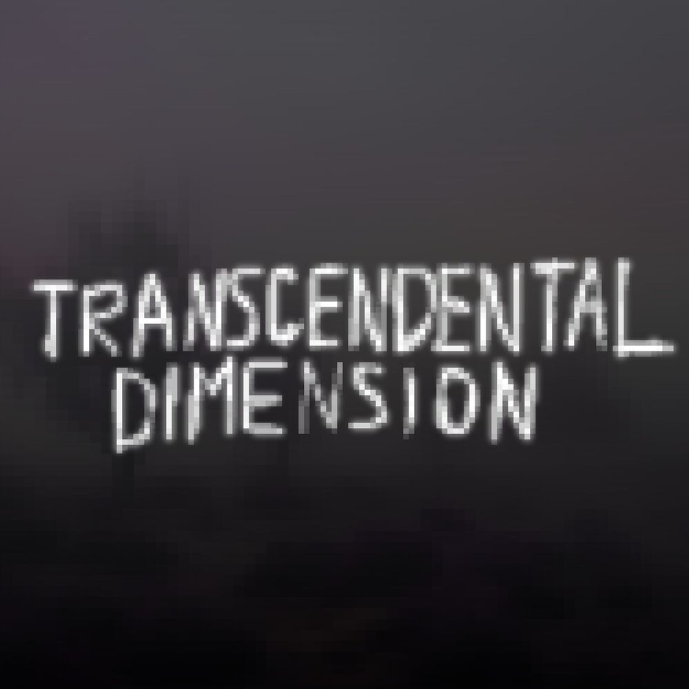Picture of TRANSCENDENTAL DIMENSION