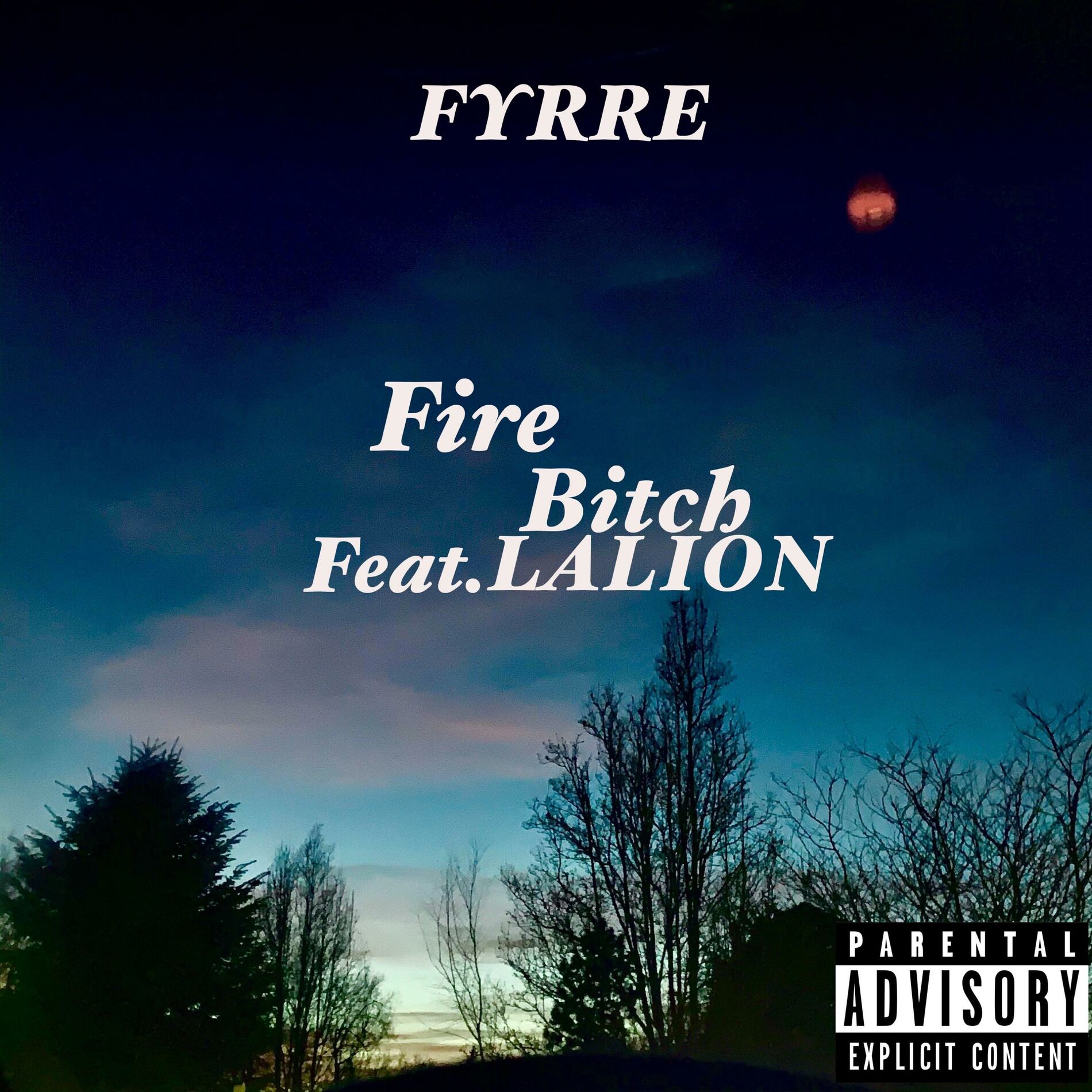 Album cover of Fire Bitch (feat. LaLion)