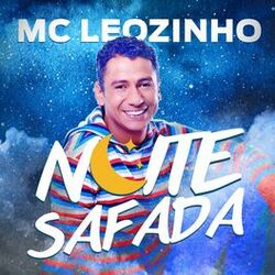 Cover of Noite Safada