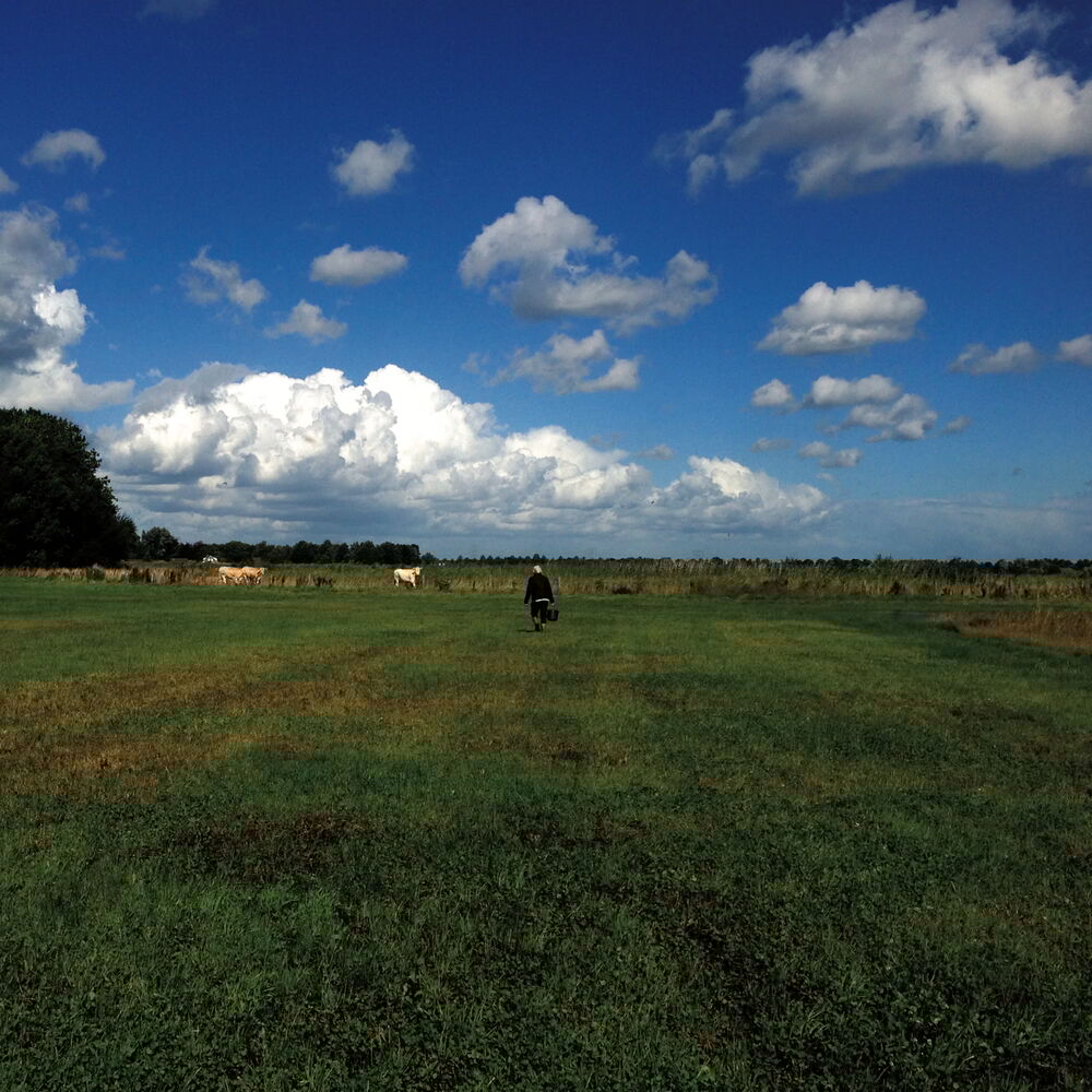 Picture of The Hilvarenbeek Recordings