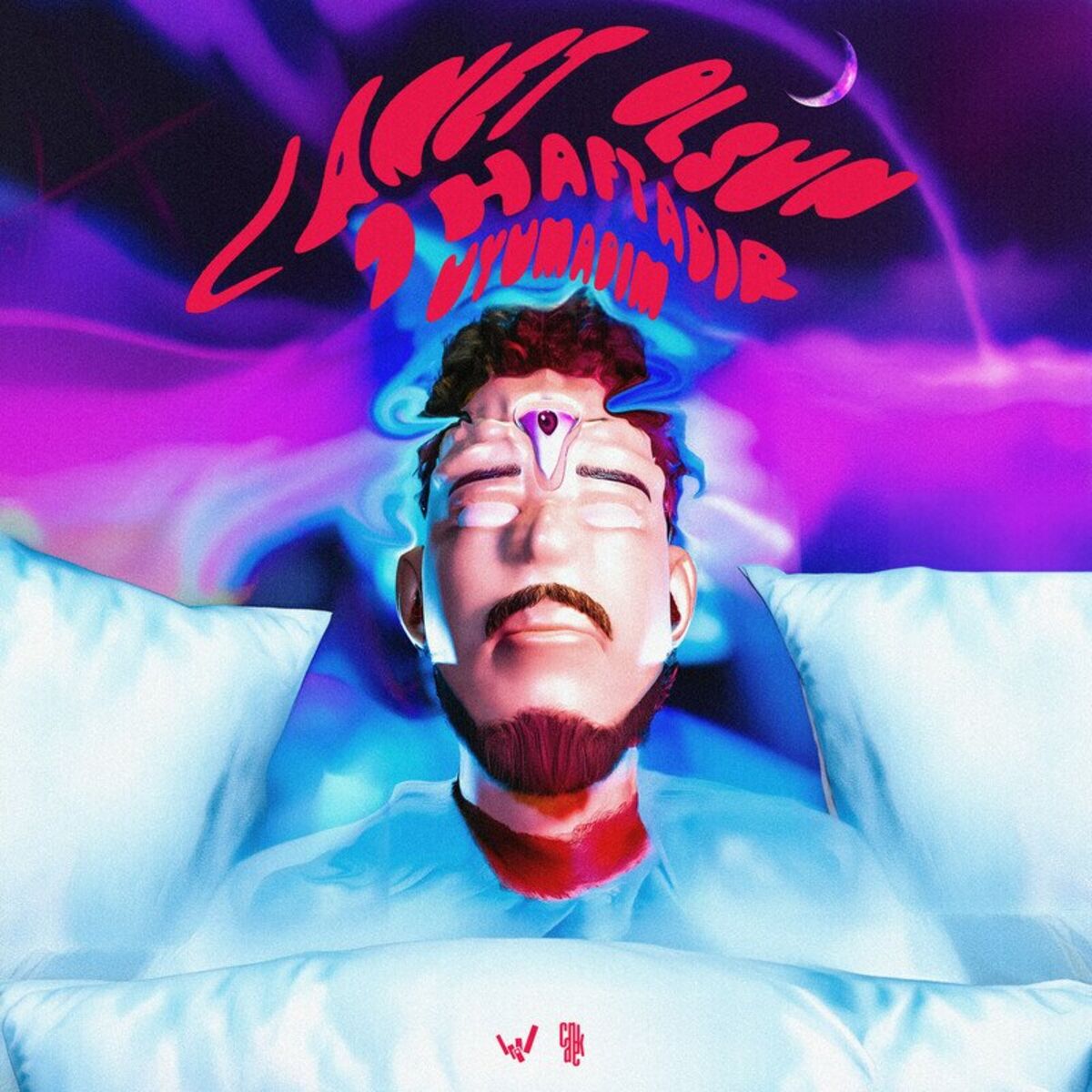 Album cover of Lanet Olsun 1 Haftadır Uyumadım