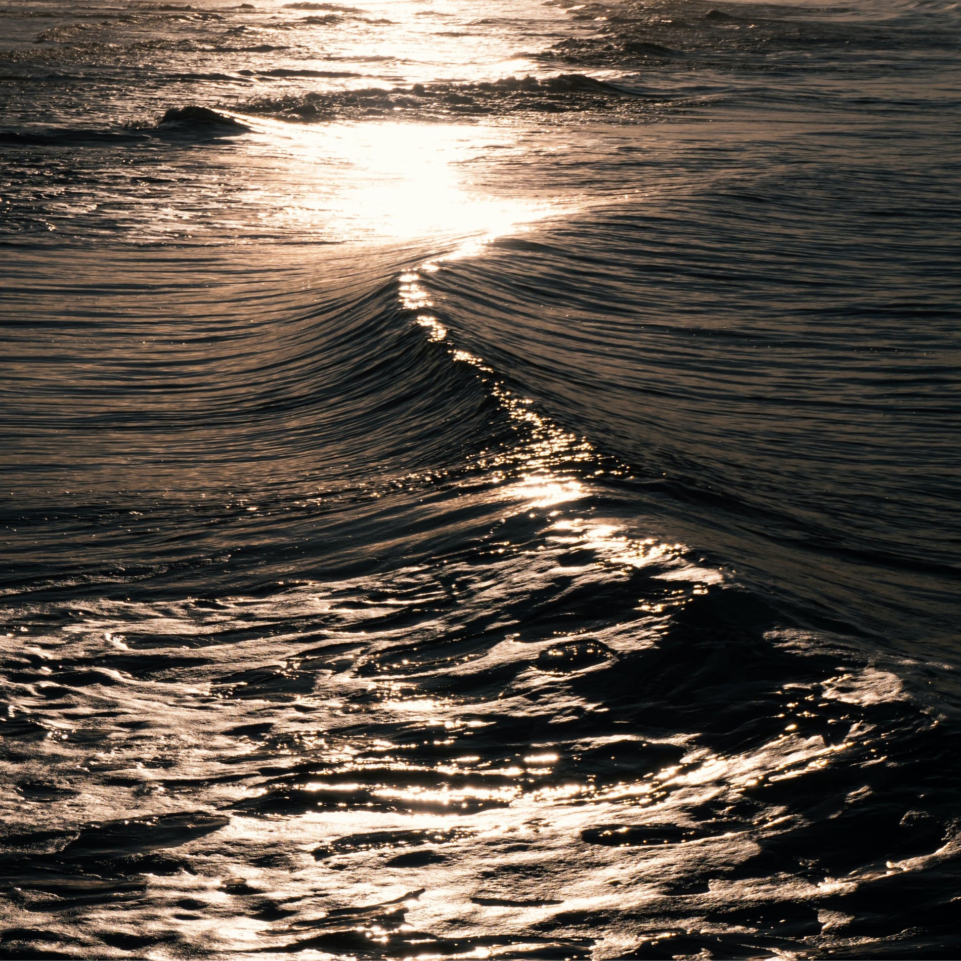 Album cover of Zen Waves
