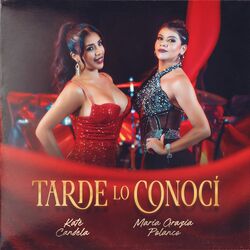 Cover of Tarde Lo Conocí