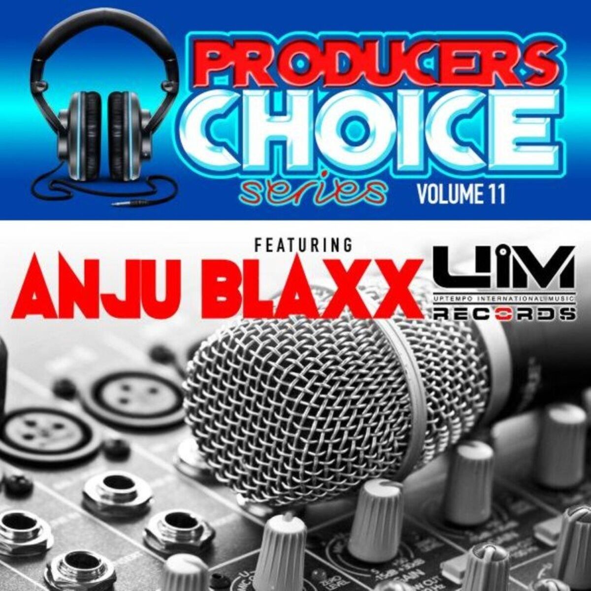 Album cover of Producers Choice, Vol. 11