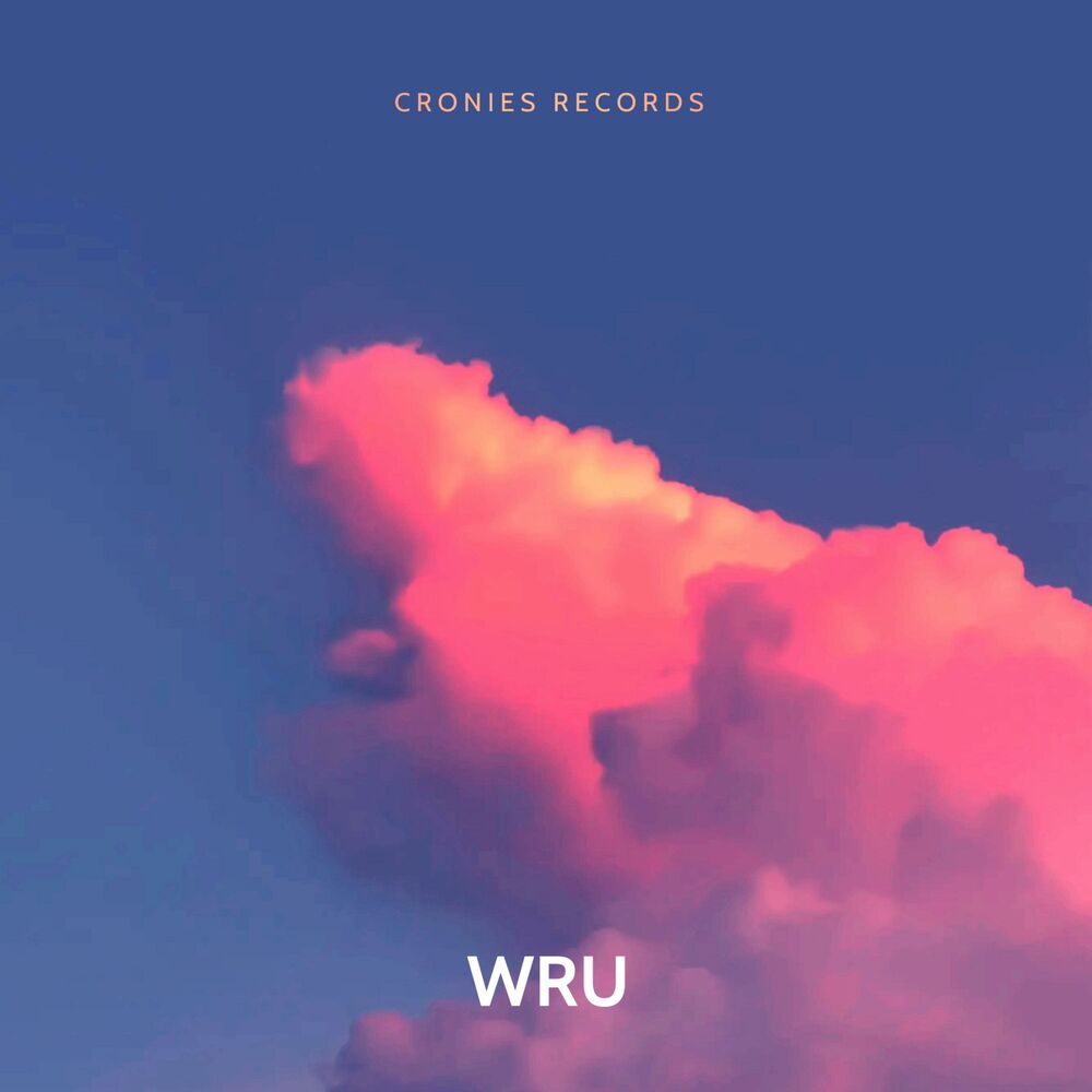Picture of WRU, Pt. 1 (feat. Sprakanite)