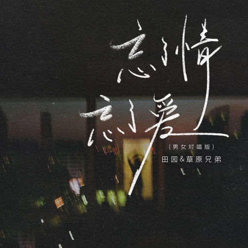 忘了情忘了爱(男女对唱版)
