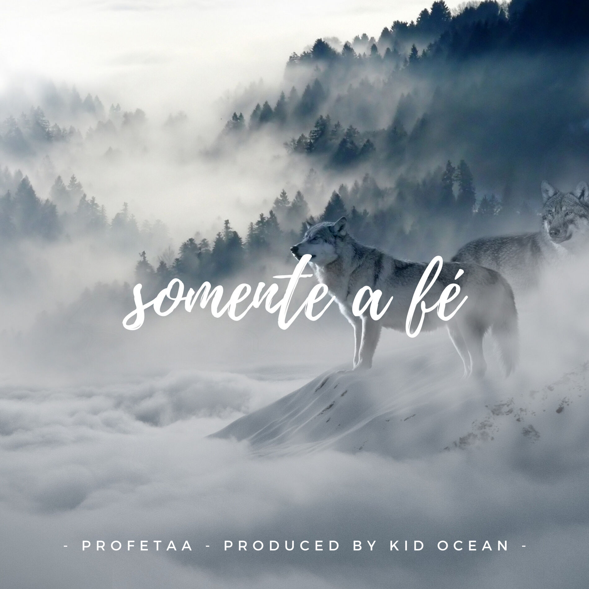 Album cover of somente a fé