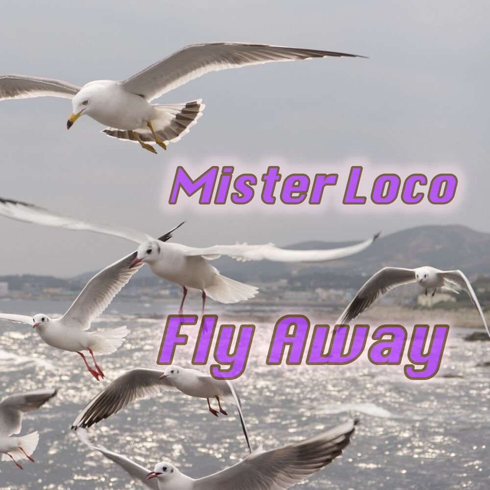 Picture of Fly Away