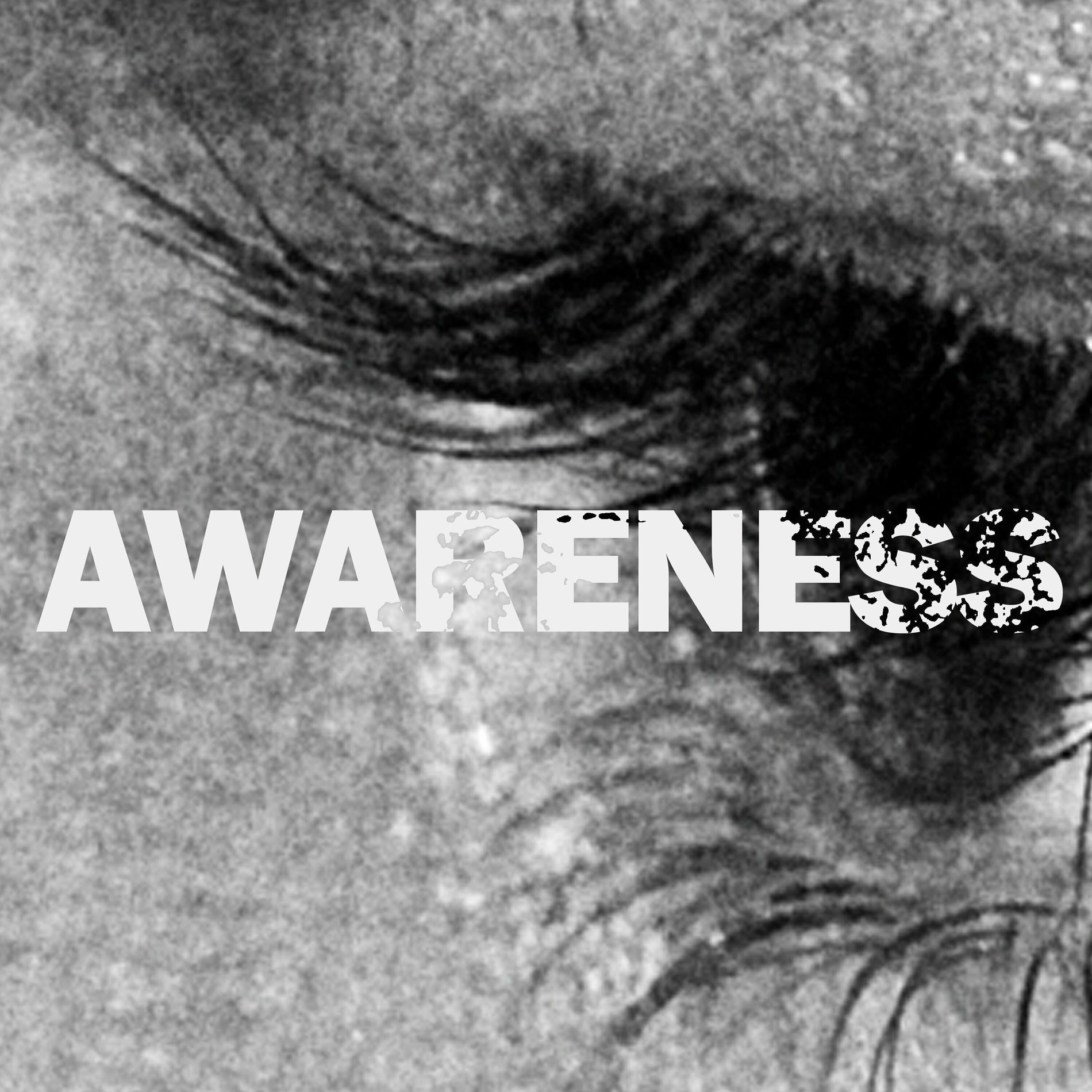 Album cover of Awareness