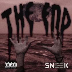 Cover of The End