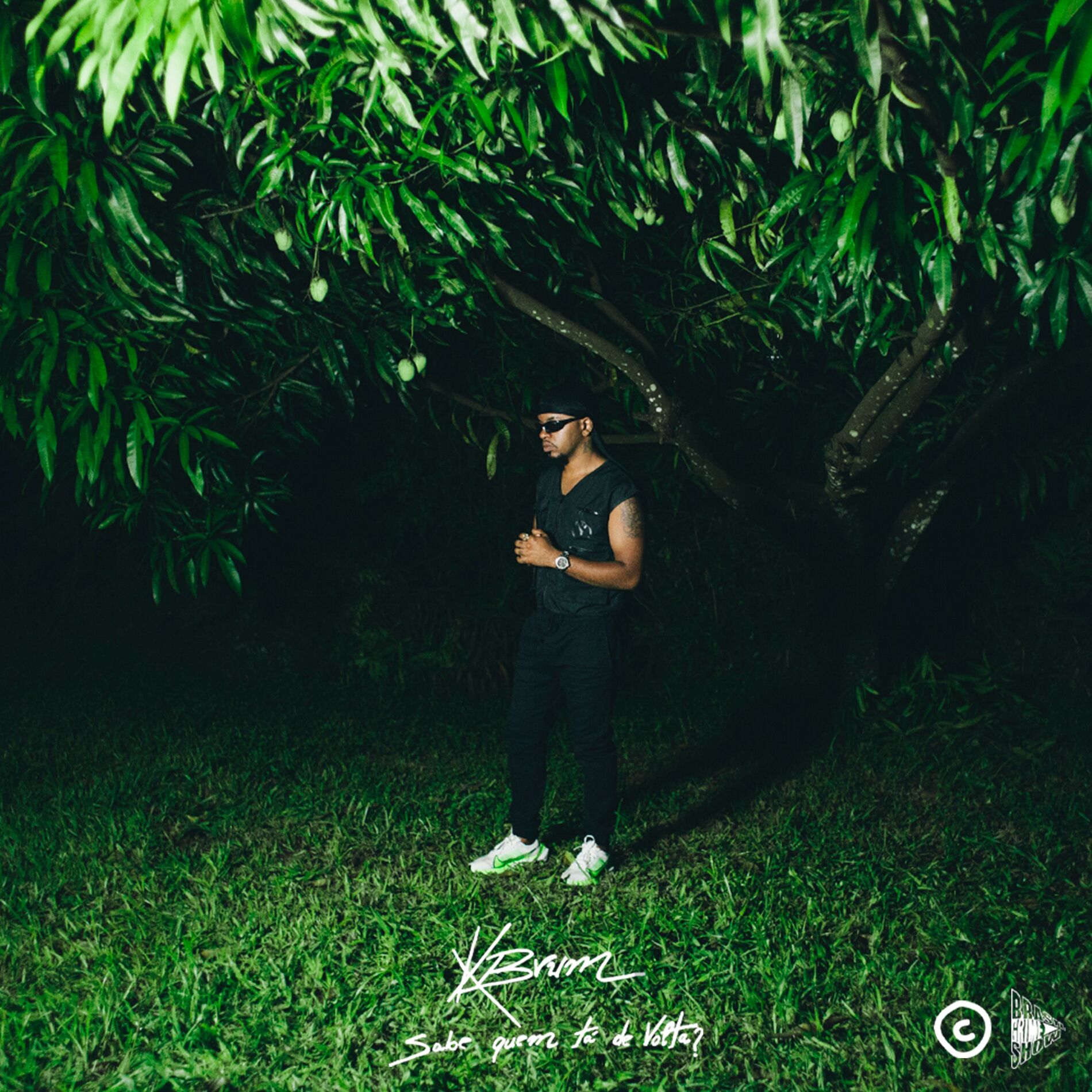 Album cover of Sabe Quem Tá de Volta?