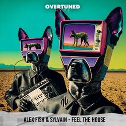 Cover of Feel The House