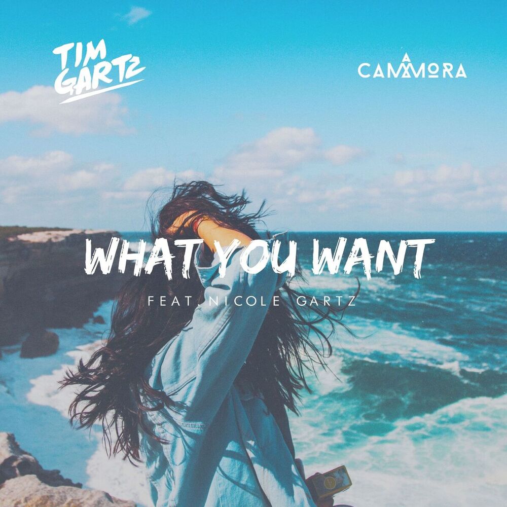 Picture of What You Want (feat. Nicole Gartz)