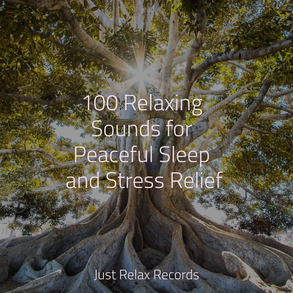 Picture of 100 Relaxing Sounds for Peaceful Sleep and Stress Relief