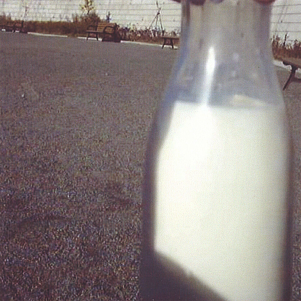 Picture of MILK