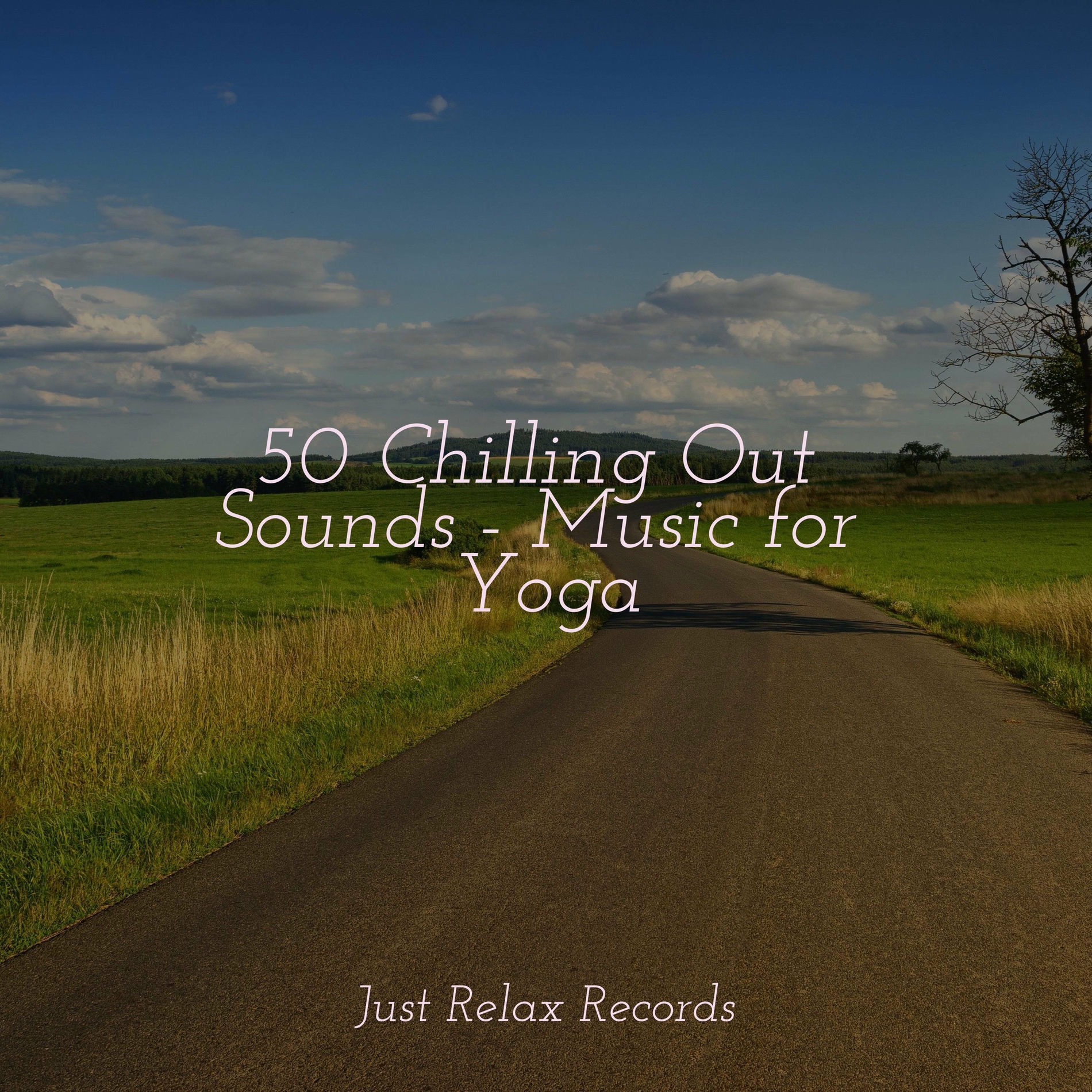 Album cover of 50 Chilling Out Sounds - Music for Yoga