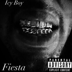 Cover of I C Y B O Y