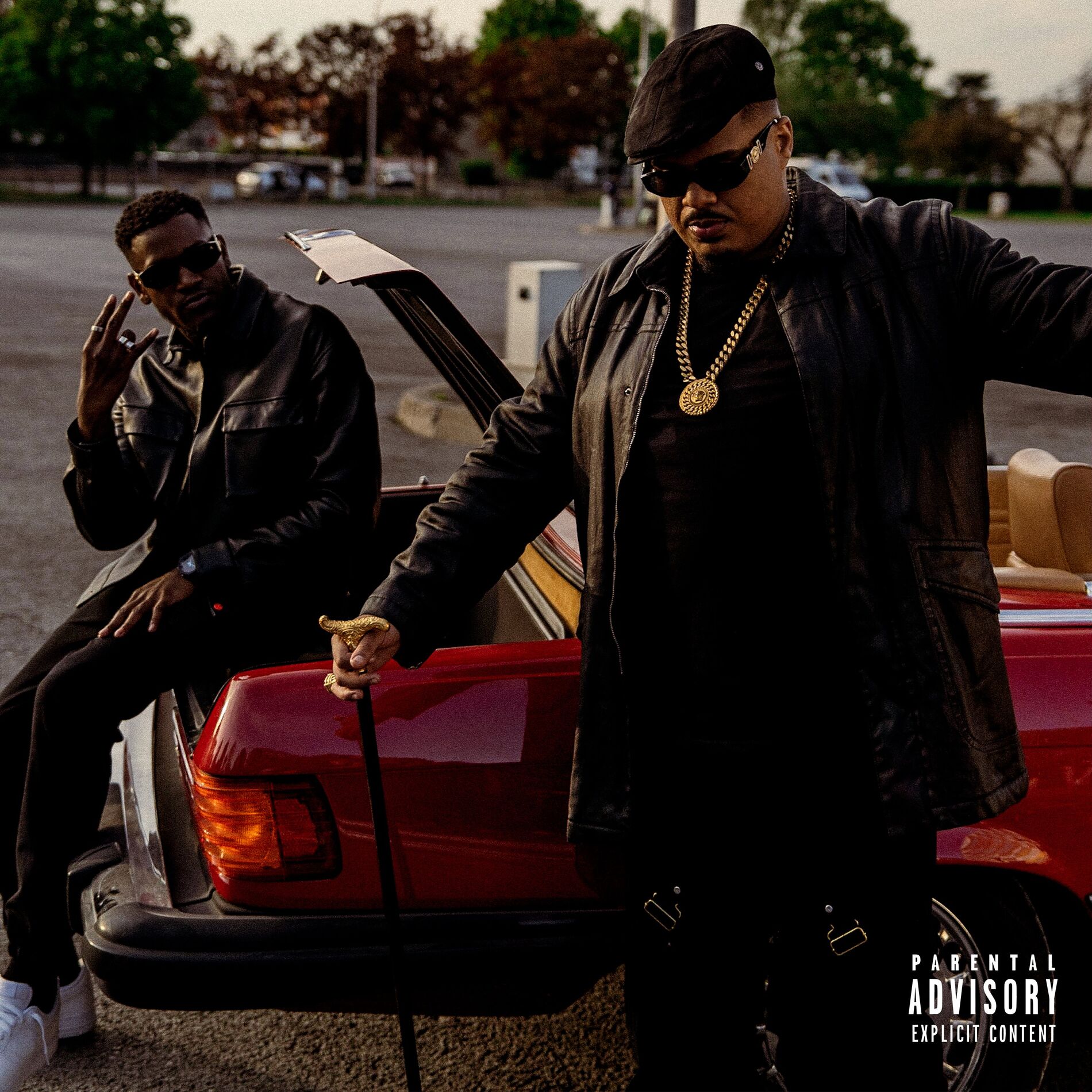 Album cover of Bibi