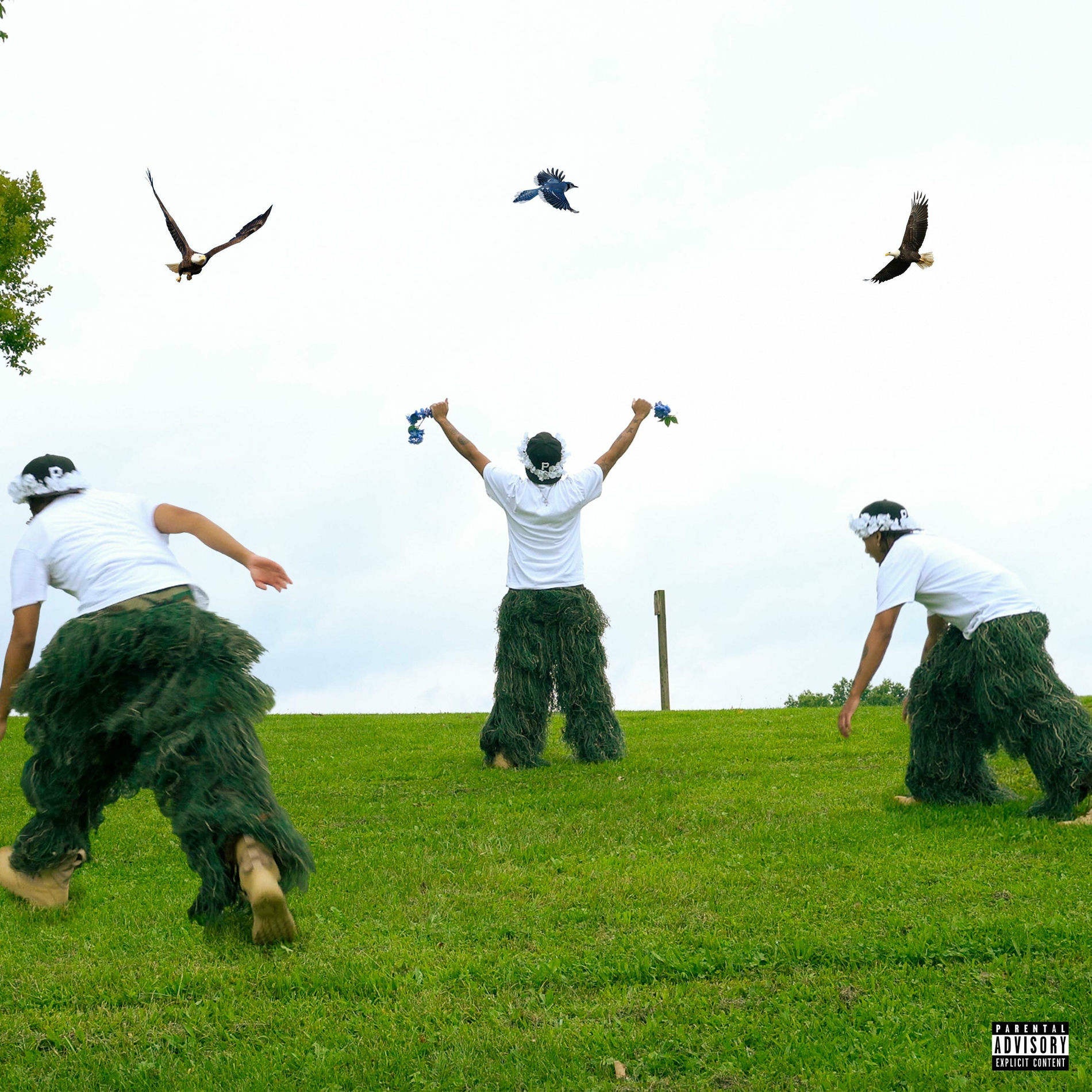 Album cover of Garden (Deluxe)