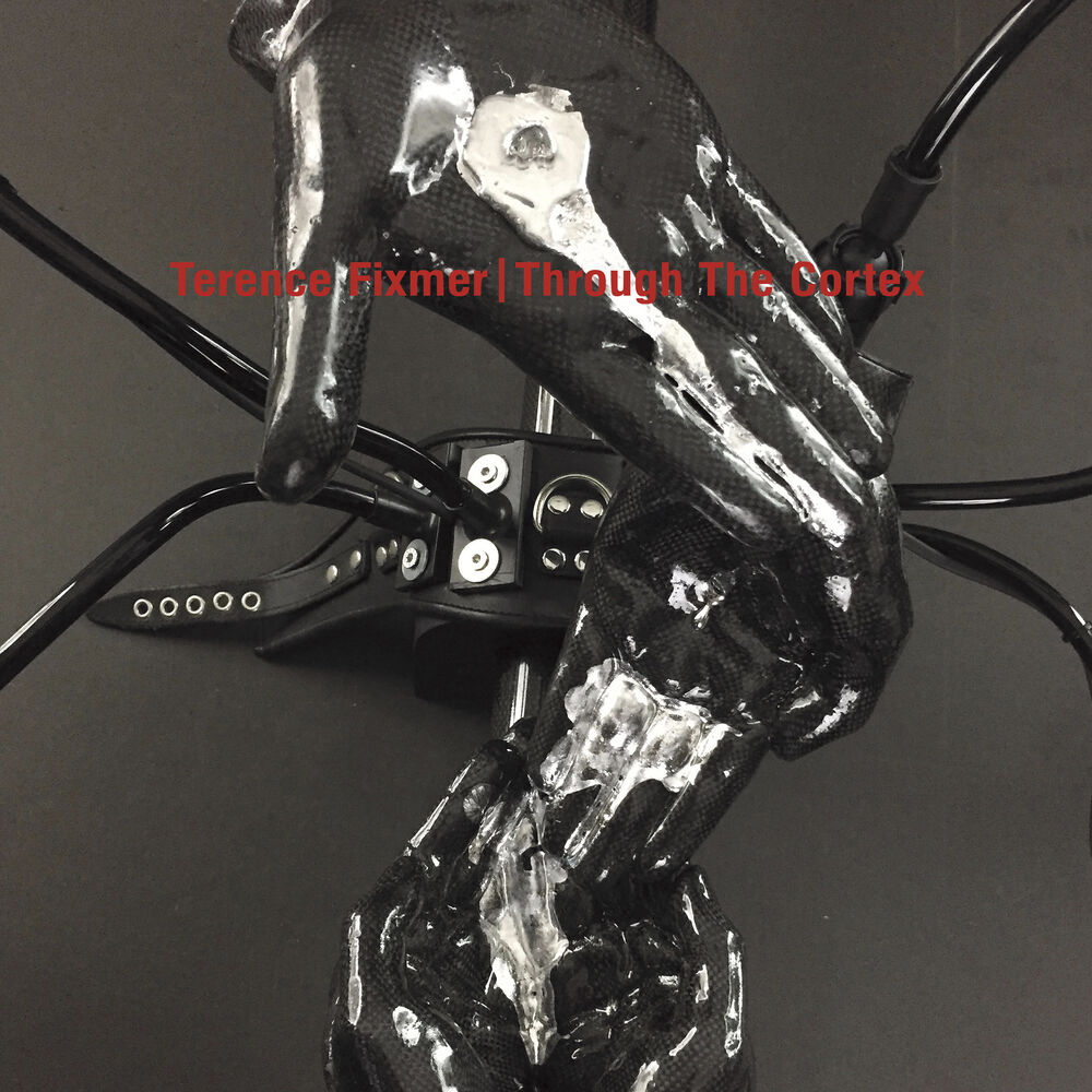 Picture of Through The Cortex