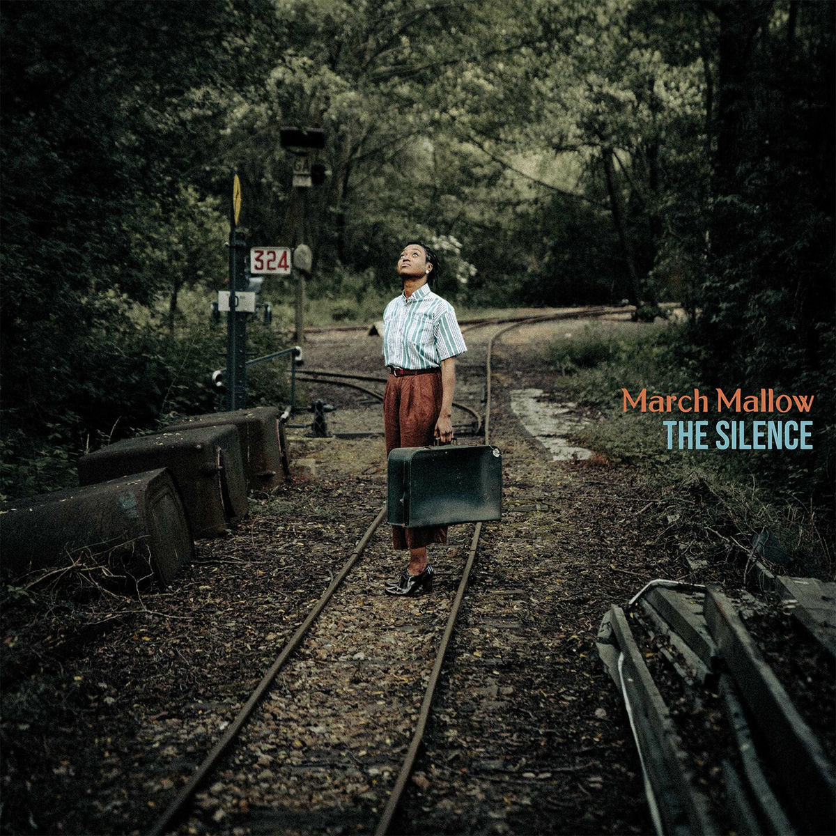 Album cover of The Silence