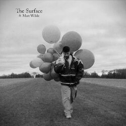 Cover of The Surface
