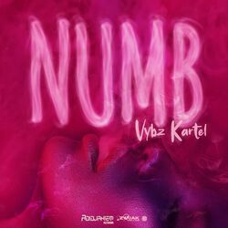 Cover of Numb