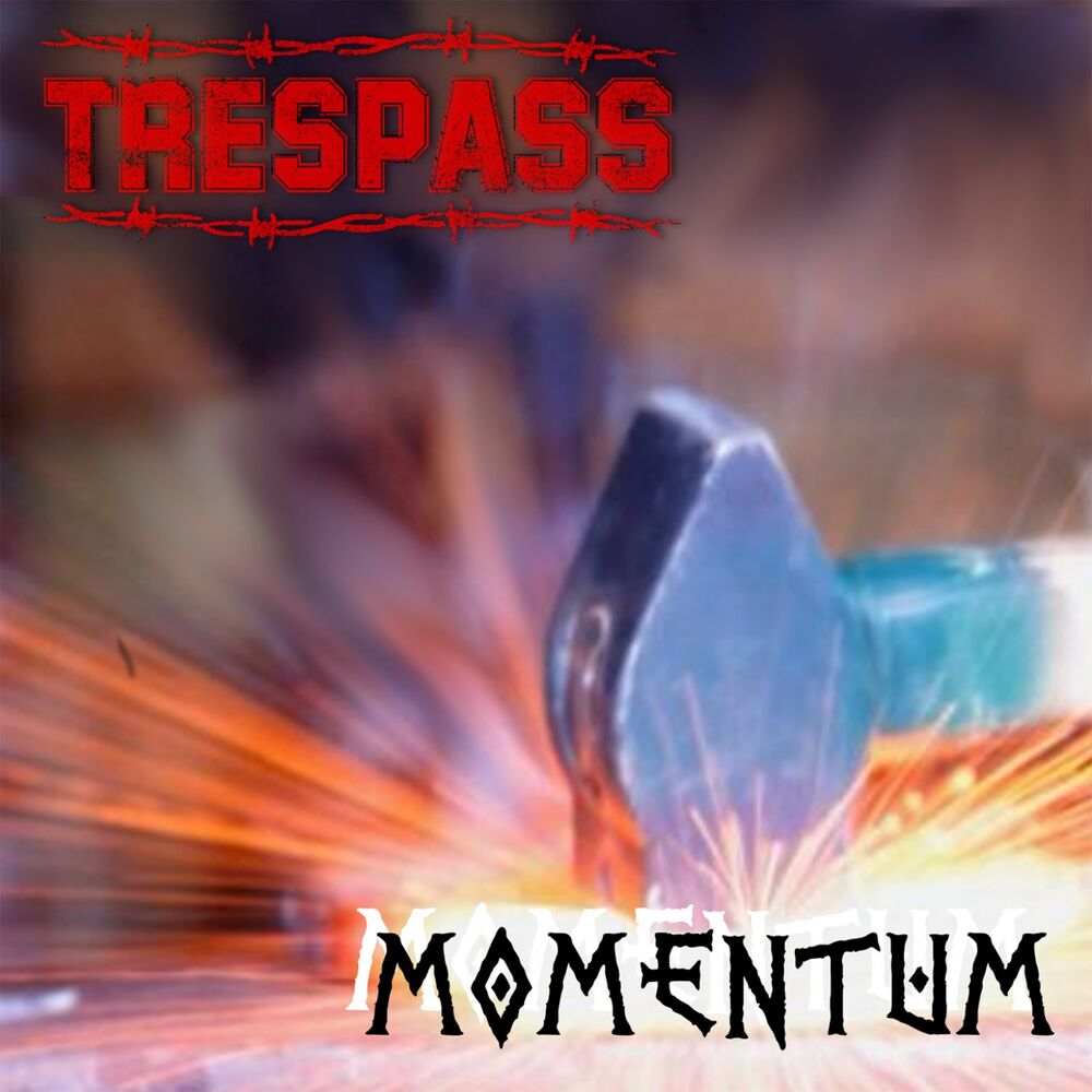 Picture of Momentum