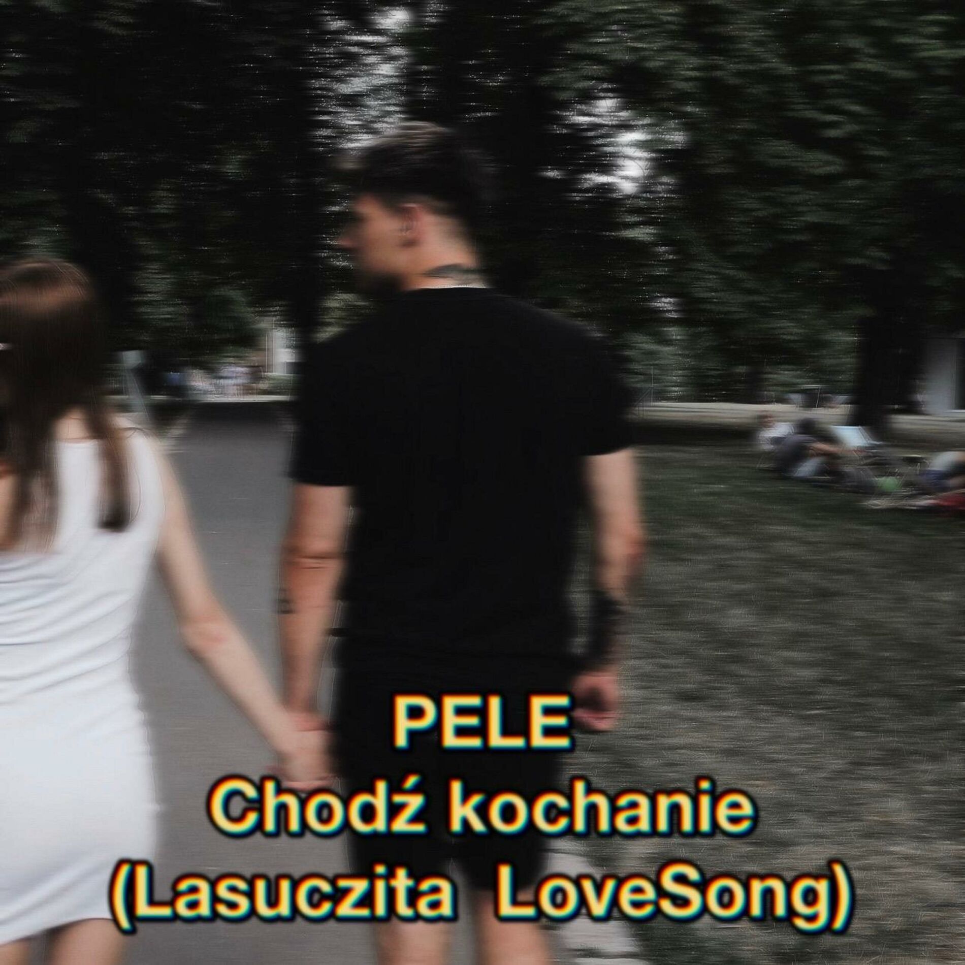 Album cover of Chodź kochanie (Lasuczita LoveSong) (feat. Pele)