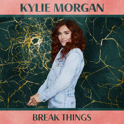 Cover of Break Things