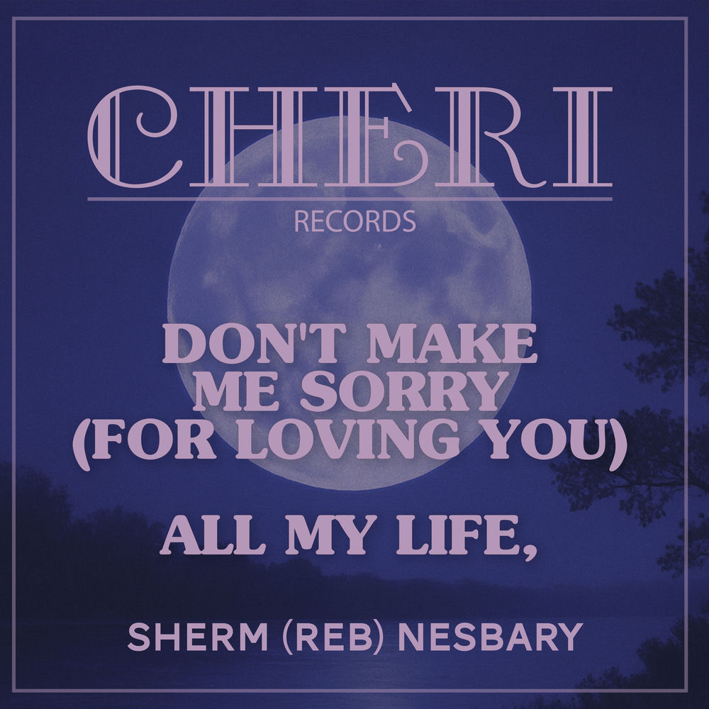 Cover du titre Don't Make Me Sorry (For Loving You)