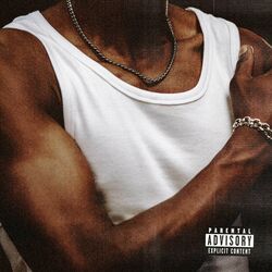 Cover of Solide