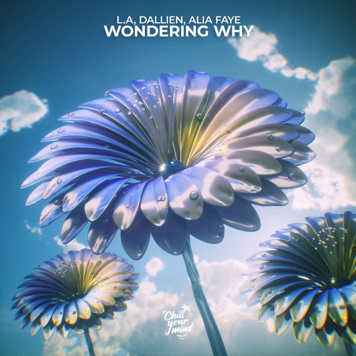 Album cover of Wondering Why