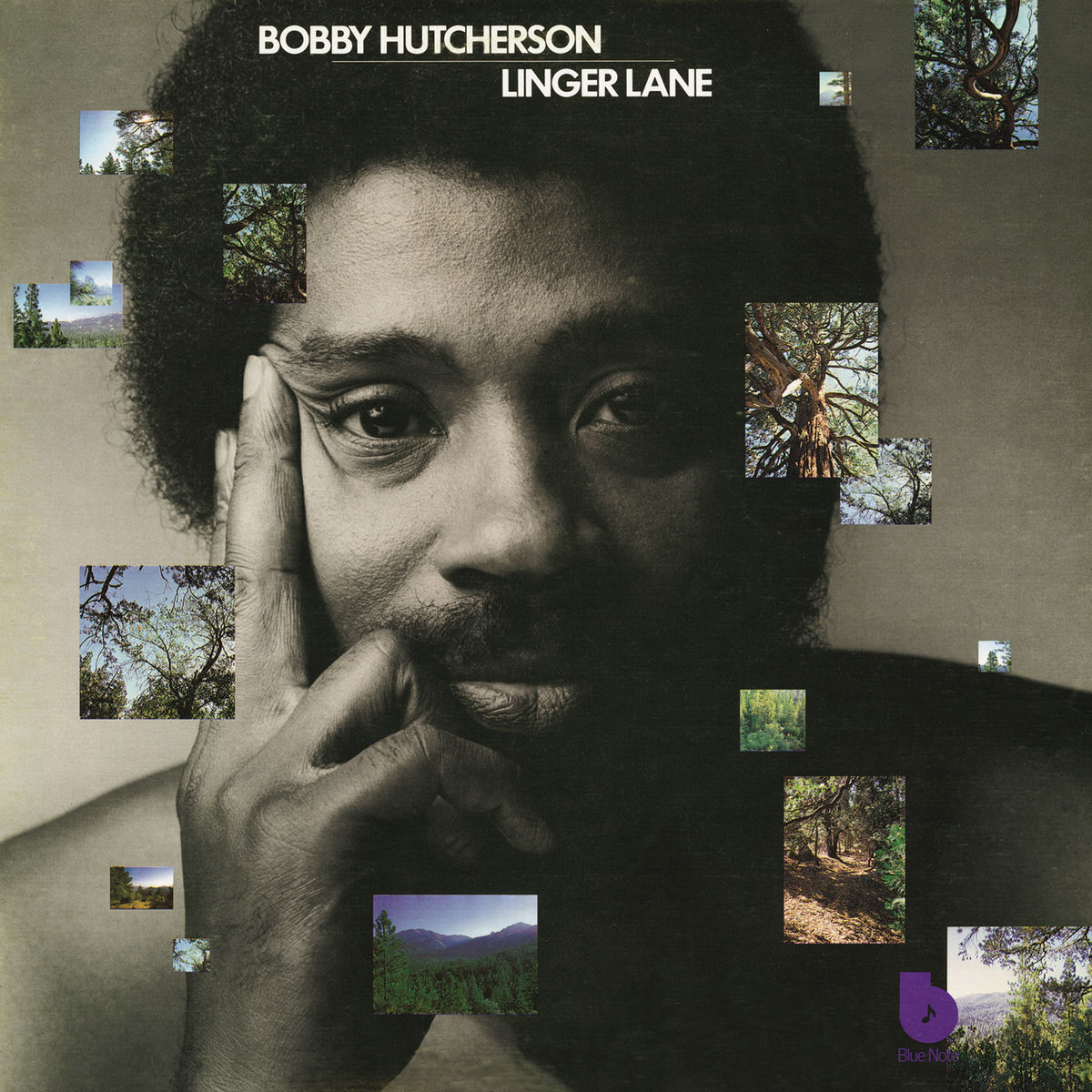 Album cover of Linger Lane