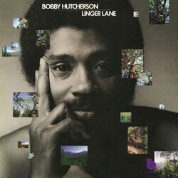 Cover of Linger Lane