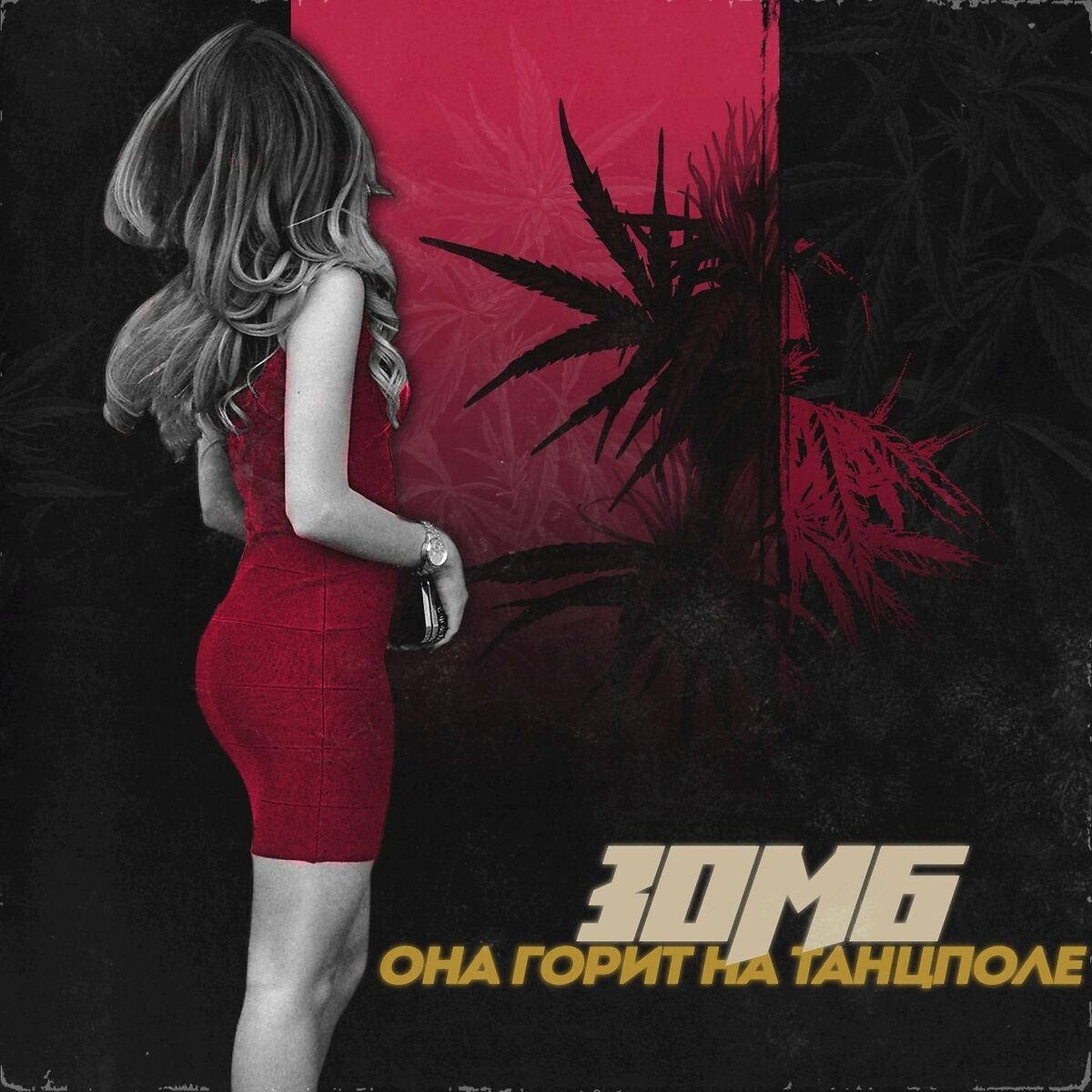 Album cover of Ona gorit na tantspole