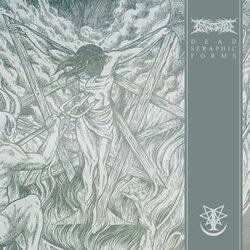 Cover of Dead Seraphic Forms