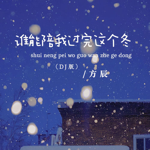 谁能陪我过完这个冬 (DJ版)