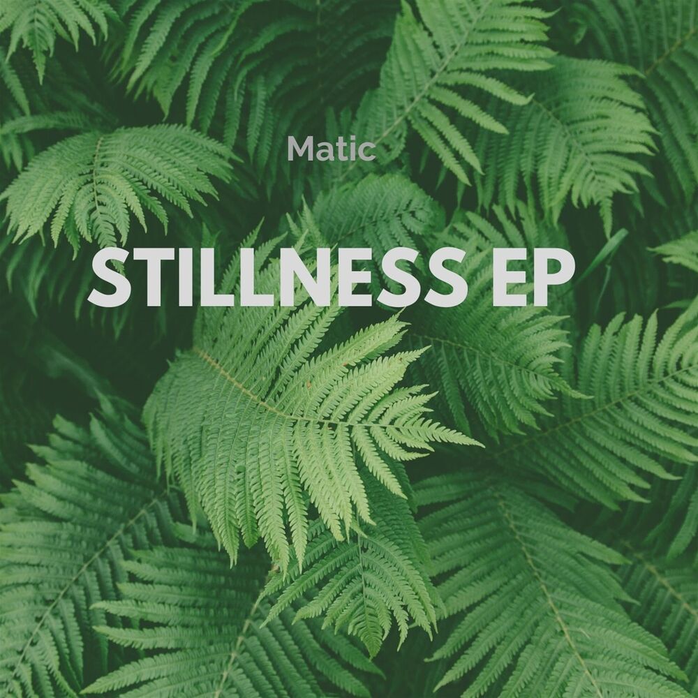 Picture of Stillness