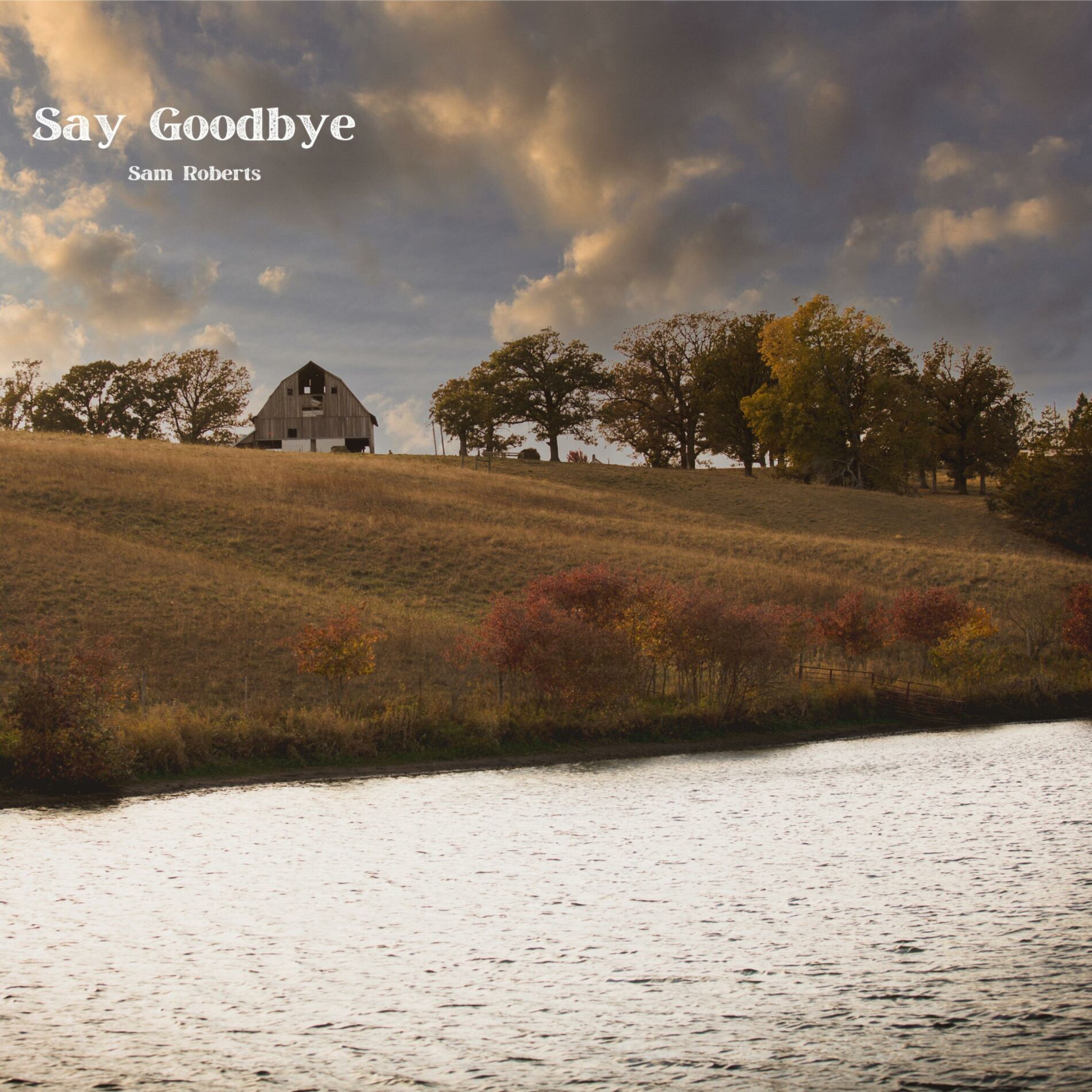 Album cover of Say Goodbye