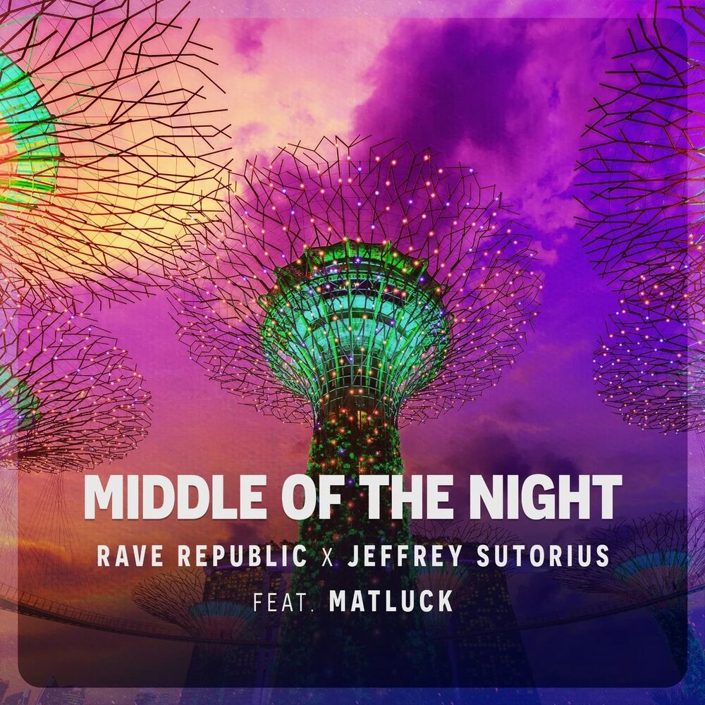 Picture of Middle Of The Night