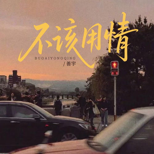 不该用情