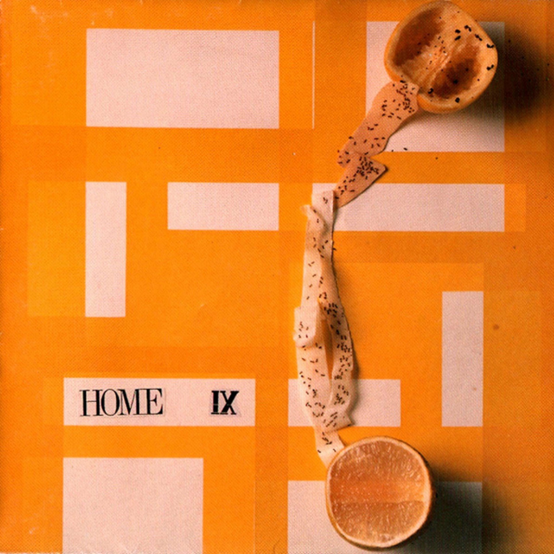 Album cover of IX