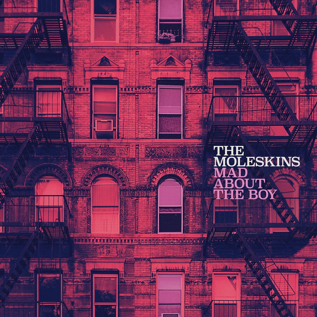 Album cover of Mad About the Boy