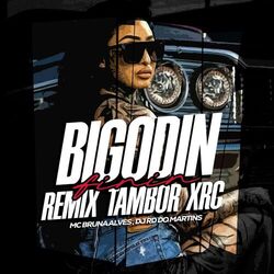 Cover of Bigodin Finin Tambor Xrc