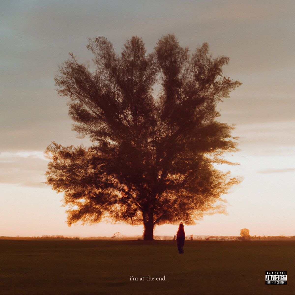 Album cover of i'm at the end