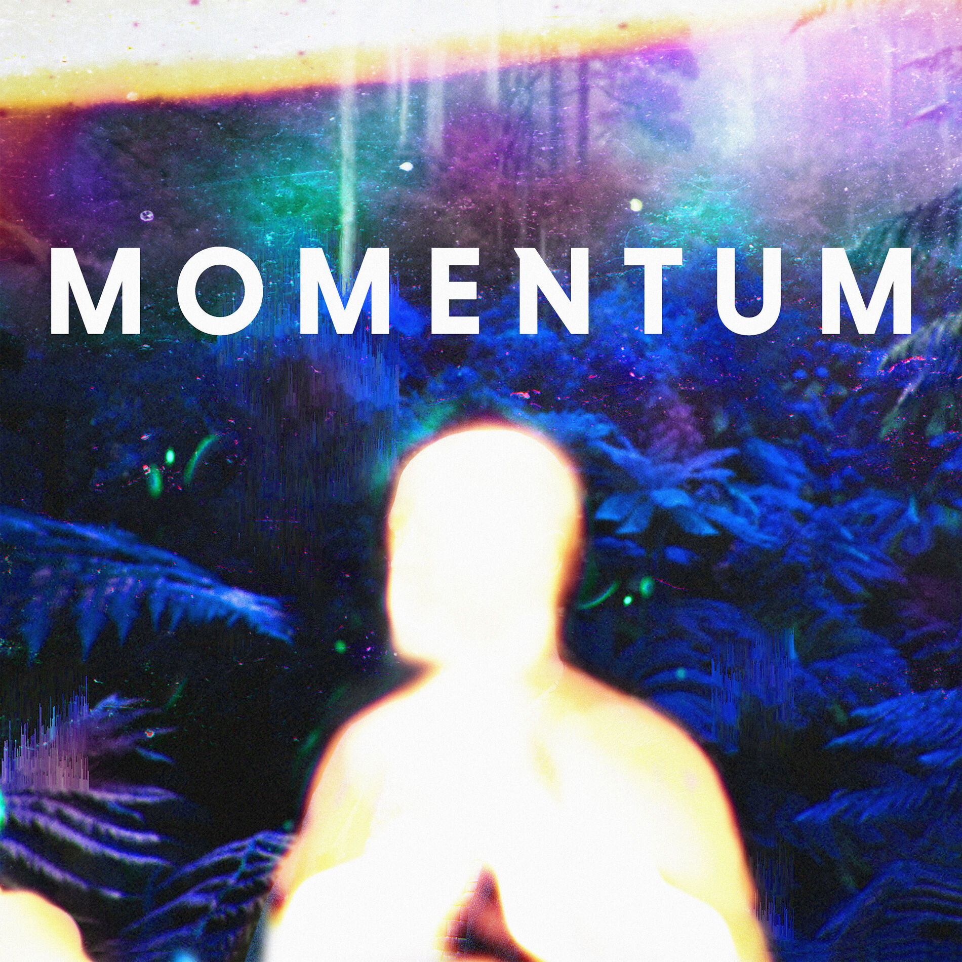 Album cover of Momentum