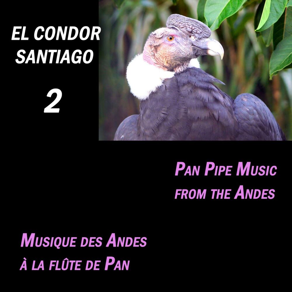 Picture of El Condor Santiago 2, Pan Pipe Music from the Andes (Musique des Andes à la flûte de Pan)