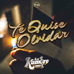 Cover of Te Quise Olvidar