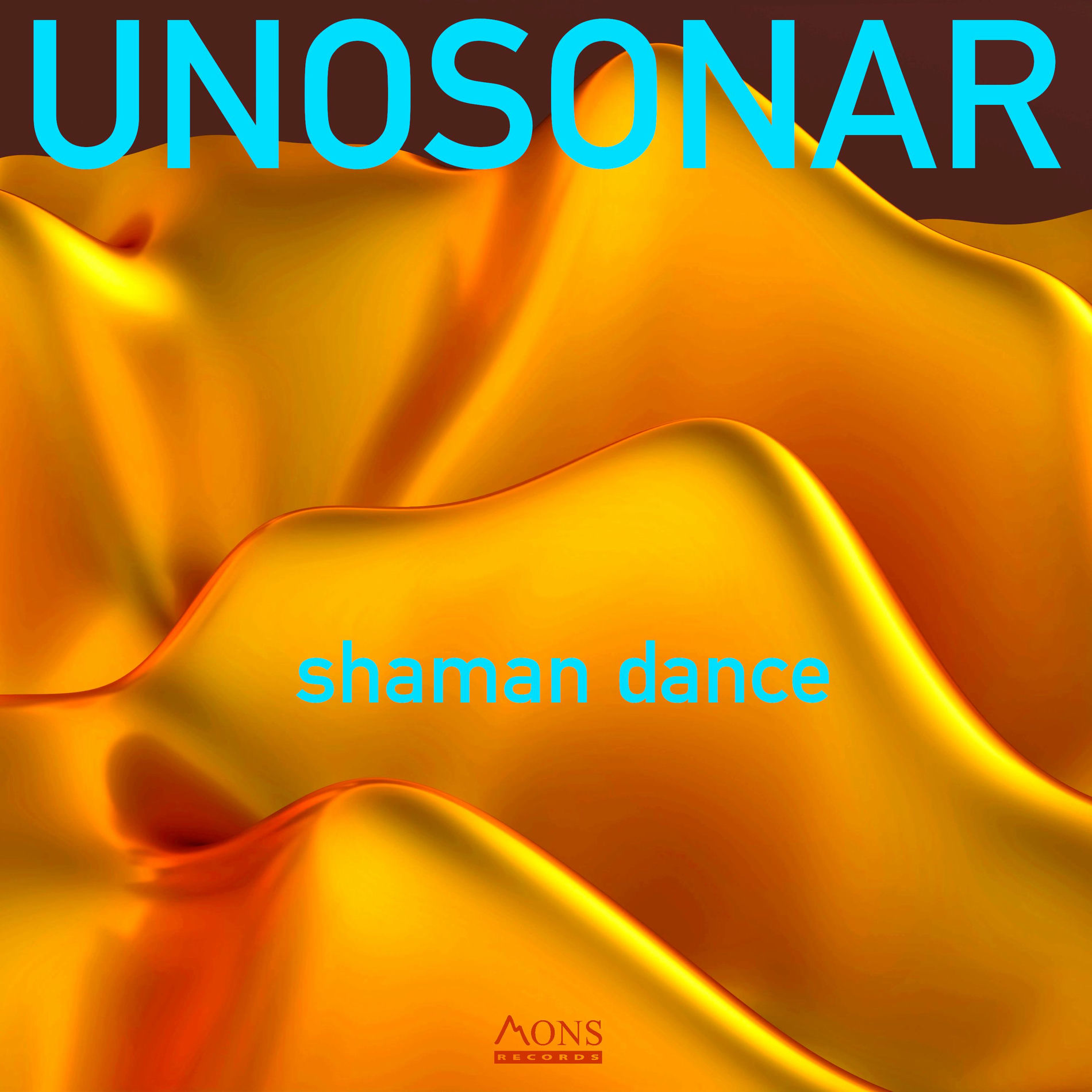 Album cover of shaman dance (remix)